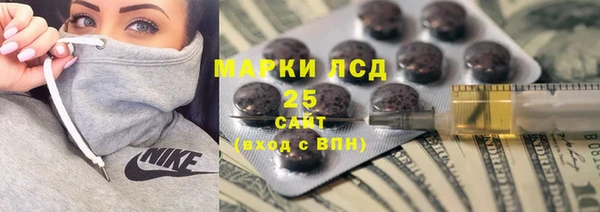 прущие грибы Бердск