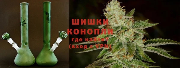 прущие грибы Медвежьегорск