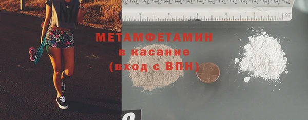прущие грибы Медвежьегорск