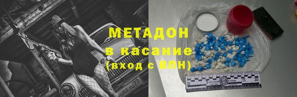 прущие грибы Медвежьегорск
