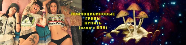 spice Медногорск