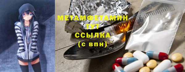 прущие грибы Медвежьегорск