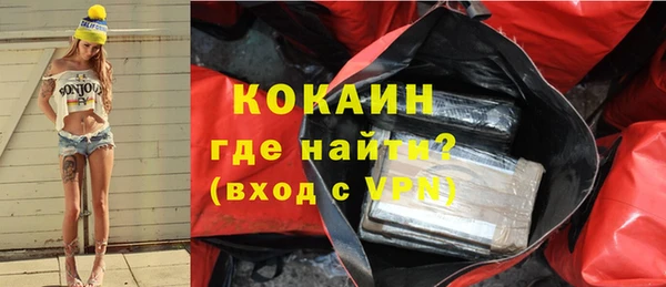 прущие грибы Бердск