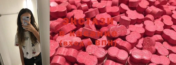 прущие грибы Медвежьегорск