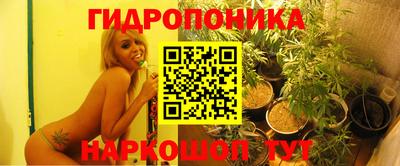 молекула духа Бийск