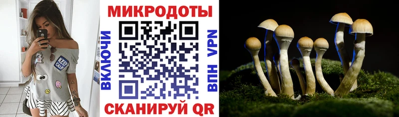 гидра вход  Всеволожск  Галлюциногенные грибы ЛСД  закладки 