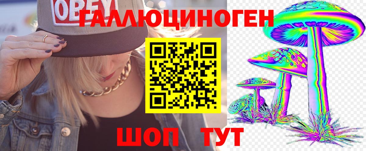 Галлюциногенные грибы Psilocybine cubensis  Всеволожск  Галлюциногенные грибы Magic Shrooms 