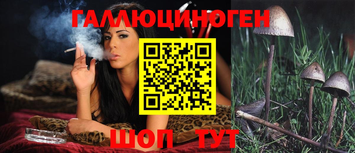 Всеволожск  Псилоцибиновые грибы мицелий  Вход с VPN 